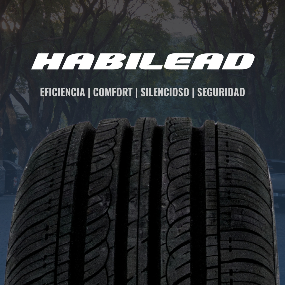 NEUMATICO 225/65 R17 102 H H202 HABILEAD - Imagen 7
